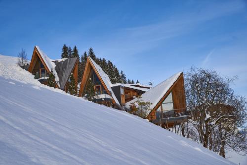Gallery image of HochLeger - Chalet Refugium am Berg in Aschau