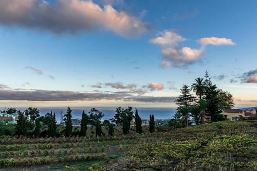vistas a un campo con árboles y al océano en CASA RURAL EL LAGAR TENERIFE en La Orotava