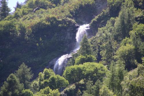 a waterfall in the middle of a forest at Polaris 1 006 - LUXE & SKI LIFT apartment 6 pers in Zinal