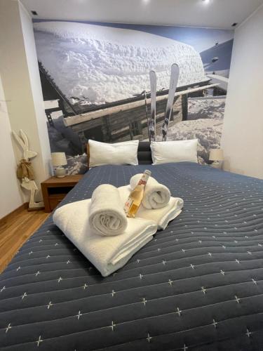 Posteľ alebo postele v izbe v ubytovaní SPA Apartament Jenny Ski&Fun widok na Skrzyczne i skocznię "Skalite"