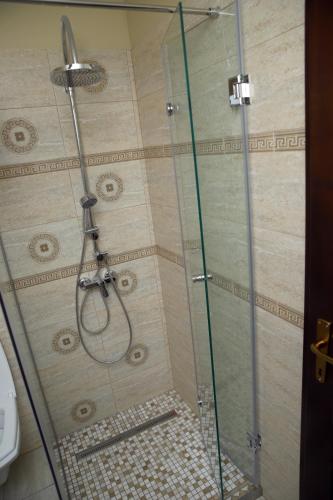 a shower stall with a glass shower door at PENSIUNEA SOFIA in Peştişani