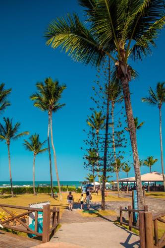 a group of palm trees on the beach at Jardim Atlântico Beach Resort in Ilhéus