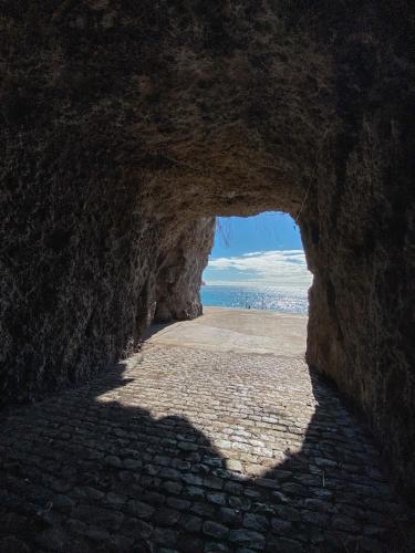 Φυσικό τοπίο κοντά σε αυτό το διαμέρισμα