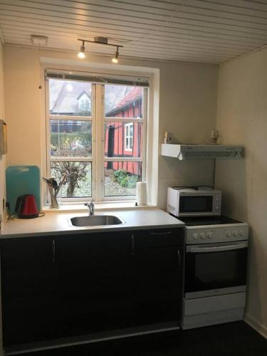 a kitchen with a sink and a microwave and a window at Latinerkvarteret in Viborg
