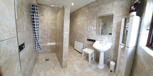 a bathroom with a sink and a shower and a toilet at Moyola River Cottage in Magherafelt