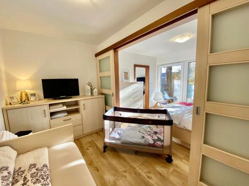a bedroom with a bed and a tv and a sliding glass door at Vila EVIO Třeboň in Třeboň