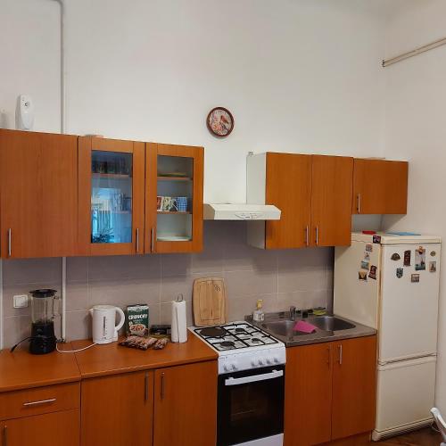 Relax inn Condominium-Zagreb
