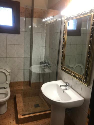 a bathroom with a sink and a shower and a toilet at Petropanagia in Elatochori