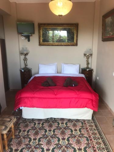 a bedroom with a large bed with a red comforter at Petropanagia in Elatochori