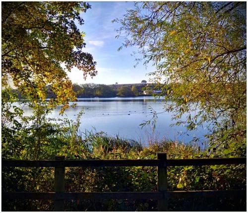 a view of a lake behind a wooden fence at Sutton House in Sutton in Ashfield
