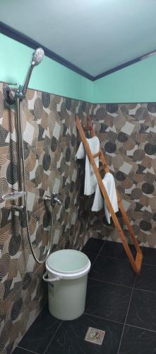 a bathroom with a shower and a toilet at House of TamSe Laagans ' Inn in Badian