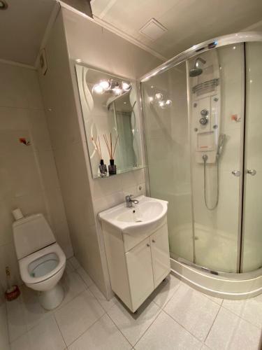 a bathroom with a toilet and a shower and a sink at Quite center of Riga in Riga