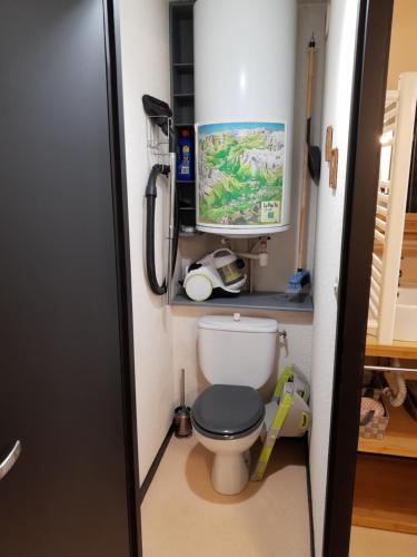 a small bathroom with a toilet and a tv at imperatrice eugenie in Luz-Saint-Sauveur