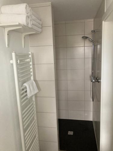 Guest House Dommitzschにあるバスルーム