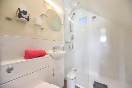 a bathroom with a toilet and a shower and a sink at Church Farm Holiday Cottages - Pinster Cottage in Ashbourne