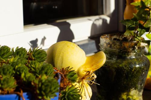 a melon sitting on a table next to a vase at Chalet Aargovia in Wengen