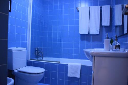 La salle de bains est pourvue de carrelage bleu, de toilettes et d'un lavabo. dans l'établissement Meiros House Tourism and Nature, à Amares