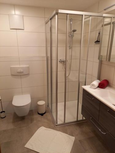 ein Bad mit einer Dusche, einem WC und einem Waschbecken in der Unterkunft Ferienwohnung Regensburger in Wenns
