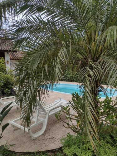 due sedie e una palma accanto a una piscina di Armazém do Porto, Chalé Azaléia a Morretes