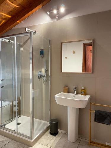 a bathroom with a glass shower and a sink at Bed&Breakfast Milano Malpensa in Busto Arsizio