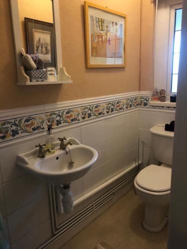 a bathroom with a sink and a toilet at Wynberg House Bed & Breakfast Swansea in Swansea