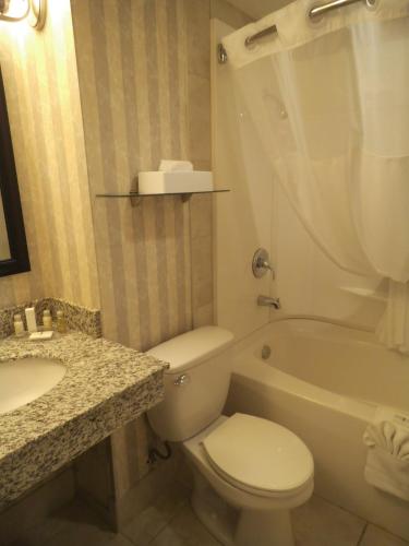 a bathroom with a toilet and a tub and a sink at Wyndham Garden Medicine Hat Conference Center in Medicine Hat