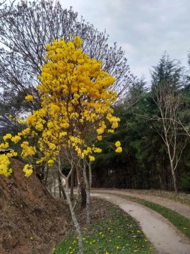 Gambar di galeri bagi Pousada Erva Doce di Monte Alegre do Sul