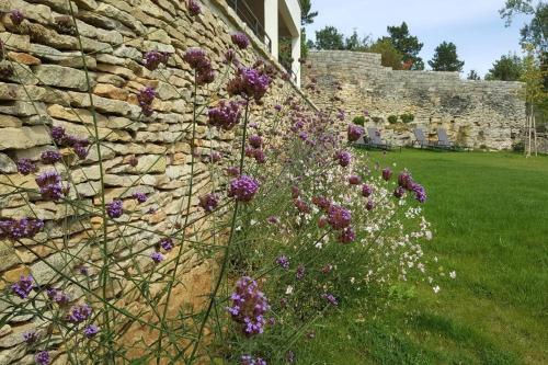 Κήπος έξω από το La Maison de l'Ecu : charme et vue incroyable