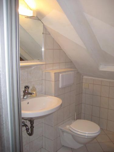a bathroom with a sink and a toilet at Haus Elisabeth Apartments in Obertauern