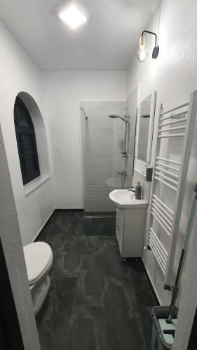 a white bathroom with a toilet and a sink at Casa mica Resita in Reşiţa