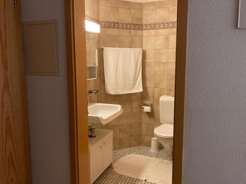 a small bathroom with a toilet and a sink at Casa Selva 2000 Fl Whg Nr 2 in Lenzerheide