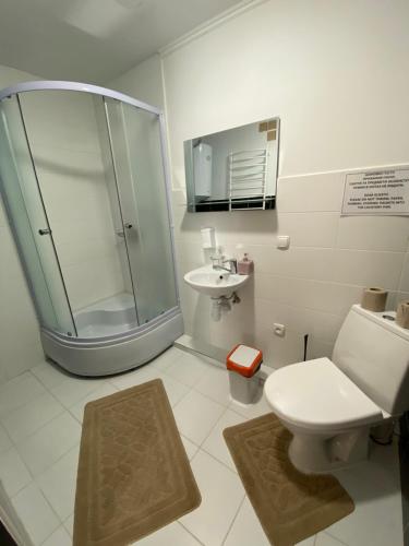 a bathroom with a shower and a toilet and a sink at Guest house Shulc in Mizhhirʼʼya