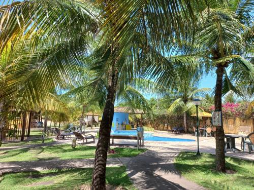 a group of palm trees near a swimming pool at Hotel Enseada Maracajaú in Maracajaú