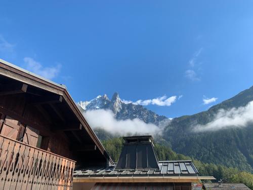 Chalet Pleine Vue & Spa photo 61