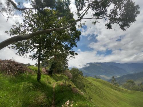 Imagen de la galería de Posada Martha Tolima, en Salento