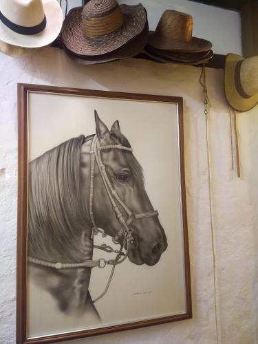 Animales en el hostal o pensión o alrededores