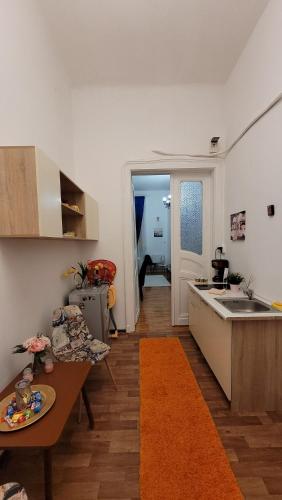 Kjøkken eller kjøkkenkrok på Opera Victoriei Residence - Ultracentral Cozy accommodation