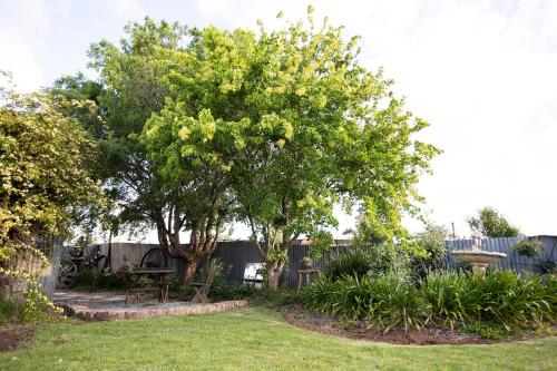Gallery image of EdenValley Private Manicured Gardens with Fire Pit in Parkes