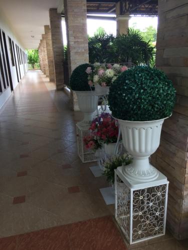 una fila de jarrones blancos llenos de plantas y flores en phuriburi resort en Pattaya centro