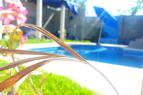 Bazén v ubytování Casa Sol, Piso Luna, Casa Sol, Floor Moon nebo v jeho okolí