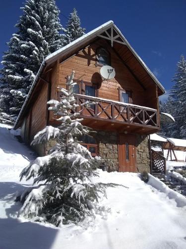 a log cabin in the snow with a tree in front at Котеджі "У Яни" in Yablunytsya