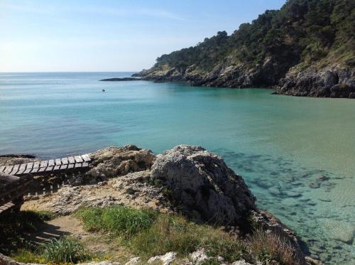 Gallery image of Residence Cala delle Arene in San Domino