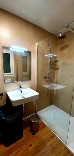 a bathroom with a sink and a shower at Guesting Barrocal in Cádiz