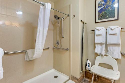 a bathroom with a shower, toilet and sink at Comfort Inn I-17 & I-40 Flagstaff in Flagstaff