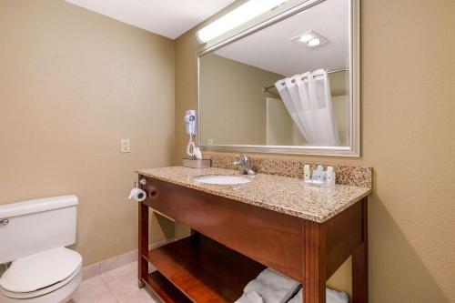 La salle de bains est pourvue d'un lavabo, de toilettes et d'un miroir. dans l'établissement Quality Inn & Suites Georgetown - Seaford, à Georgetown