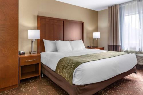 Ένα ή περισσότερα κρεβάτια σε δωμάτιο στο Comfort Inn Okemos - East Lansing