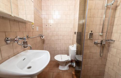 a bathroom with a sink and a toilet at Resort Dlouhé Stráně in Loučná nad Desnou