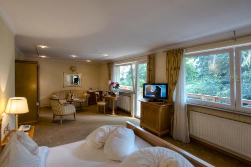 TV a/nebo společenská místnost v ubytování Hotel Aster