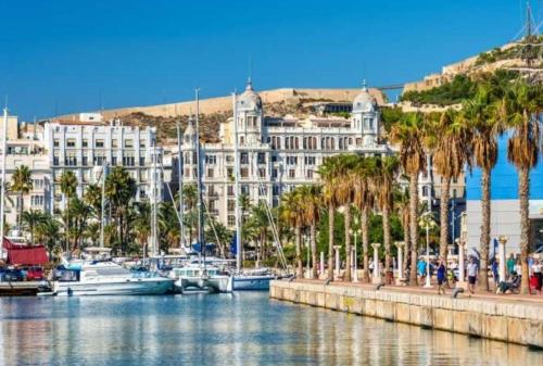 a marina with boats and palm trees and buildings at The Terrace Canalejas in Alicante