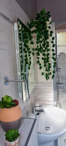 a bathroom with a sink and a plant on the wall at Hotel Des Artistes in Tarascon